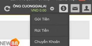 chi-tiet-cach-rut-tien-new88-tren-app-dien-thoai