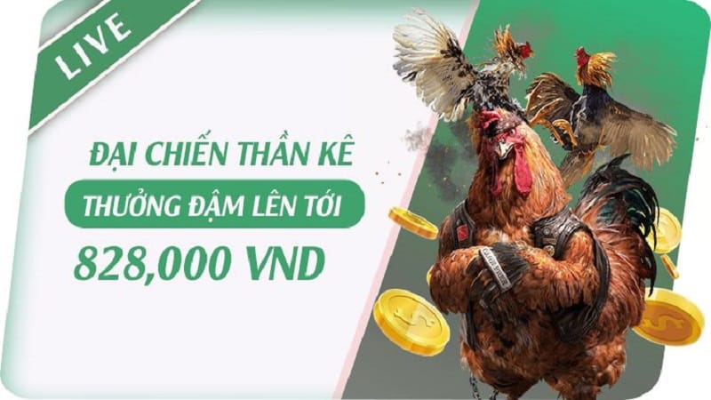 Chi tiết về chương trình khuyến mãi đại chiến thần kê, thắng liên tiếp tại New88